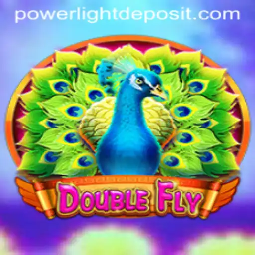 DoubleFly: Unleashing the Power of Powerlight in Gaming